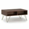 Moreno Small Lift Top Coffee Table Umber Brown and Gold - WyndenHall