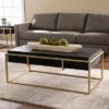 Riexe Reclaimed Wood Storage Cocktail Table Black/Brass - Aiden Lane -Coffee Tables Elegant store unnamed file 1849