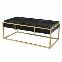 Riexe Reclaimed Wood Storage Cocktail Table Black/Brass - Aiden Lane -Coffee Tables Elegant store unnamed file 1853