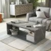 Gustave Storage Coffee Table Marble/Gray - HOMES: Inside + Out -Coffee Tables Elegant store unnamed file 2213