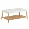 Remus Coffee Table Oak and White - Universal Expert