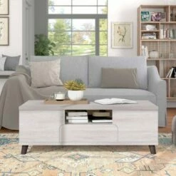 Frelmer 1 Drawer Coffee Table White Oak/Distressed Gray - miBasics -Coffee Tables Elegant store unnamed file 2966