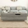 Marceau Flip Top Coffee Table Vintage Gray Oak - miBasics -Coffee Tables Elegant store unnamed file 3173