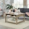 Anda Norr Lift Top Coffee Table Sky Oak - Sauder -Coffee Tables Elegant store unnamed file 507