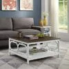 36" Omega Square Coffee Table Driftwood Top/White - Breighton Home