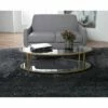 Studio Designs Home 48" Camber Modern Glass Oval Coffee Table - Studio Designs Gold -Coffee Tables Elegant store unnamed file 5438